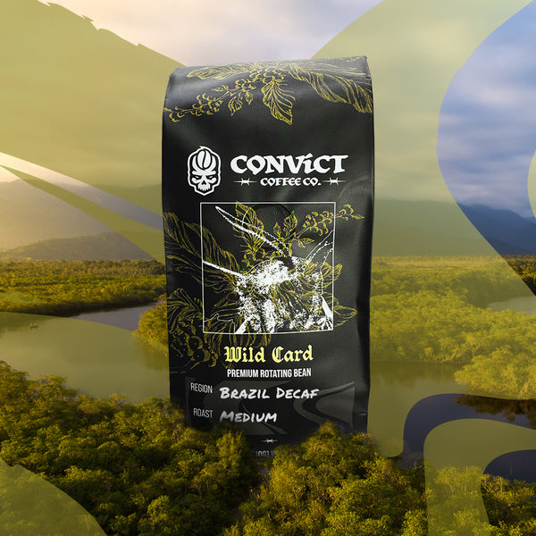 Decaf Brazil Swiss Water Natural Medium Roast