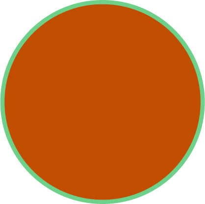 Solid orange color swatch with a green border on a white background