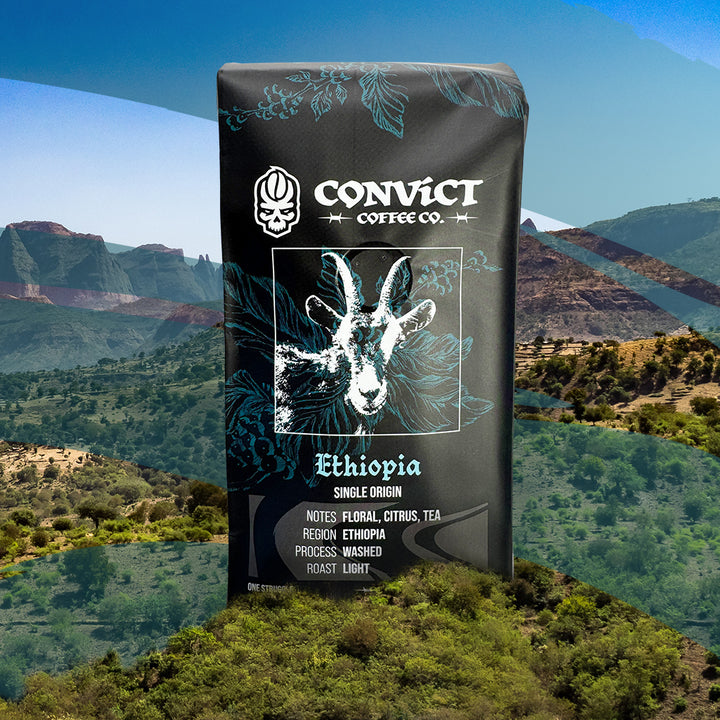 Ethiopia Washed Light Roast