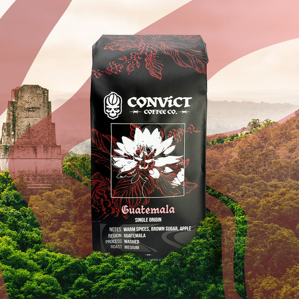 Guatemala Washed Medium Roast