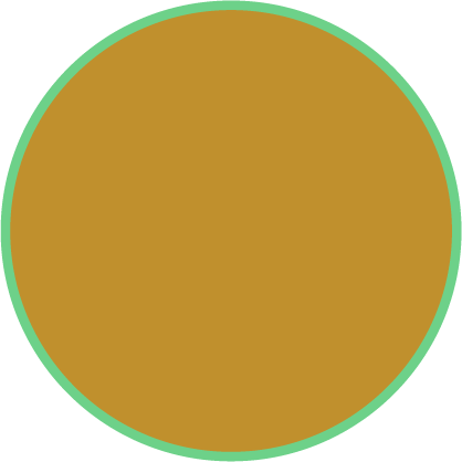 A flat, solid-colored circular swatch in a warm medium brown, outlined by a thin green border on a white background.