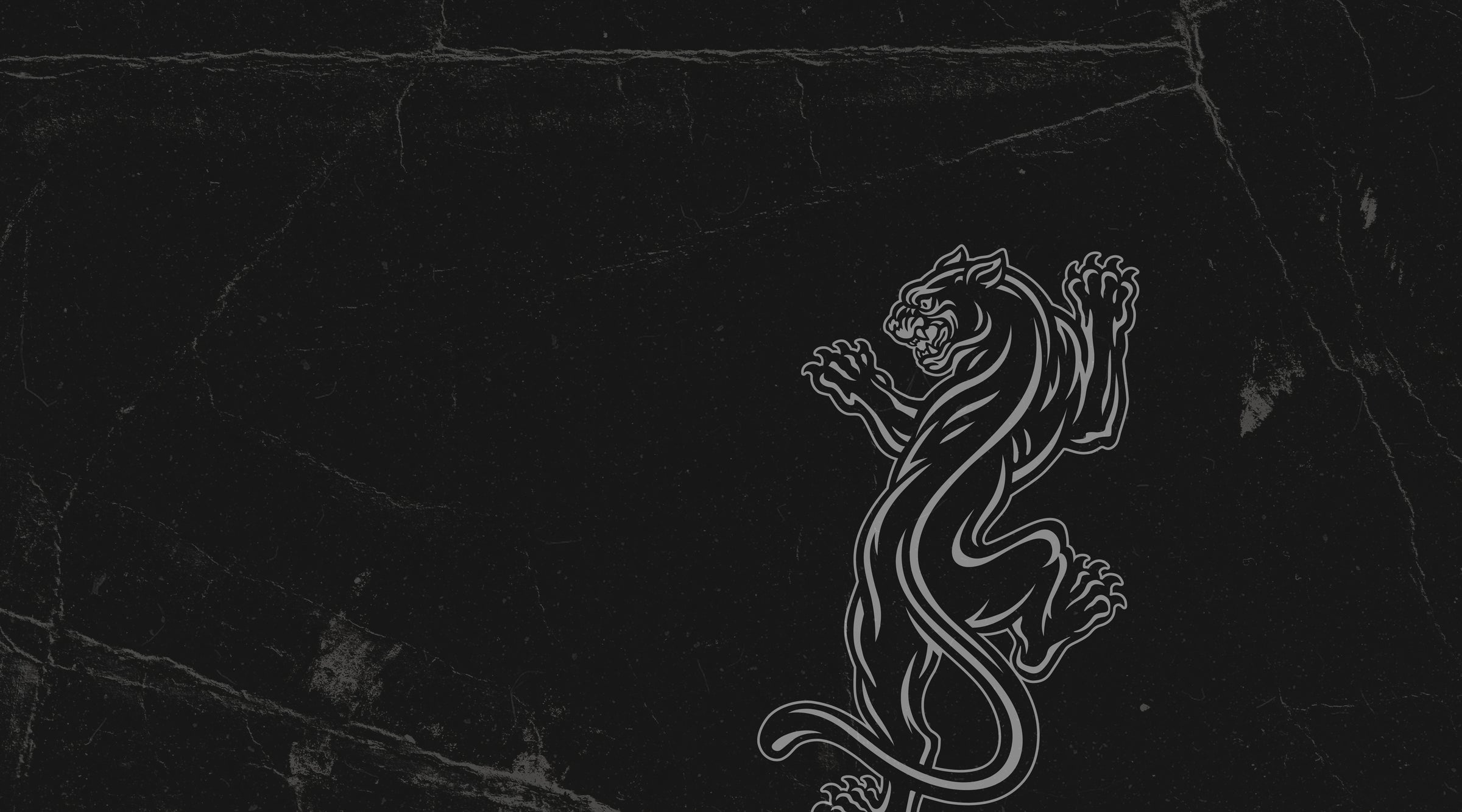 Black paper surface with a white line drawing of a panther.